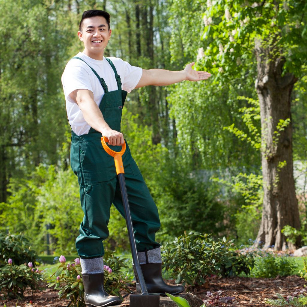 Landscaping Services